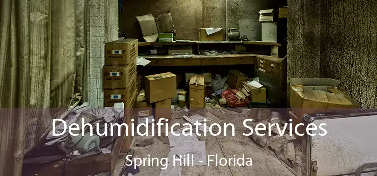 Dehumidification Services Spring Hill - Florida