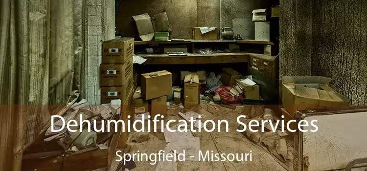 Dehumidification Services Springfield - Missouri