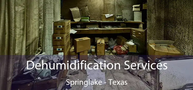 Dehumidification Services Springlake - Texas