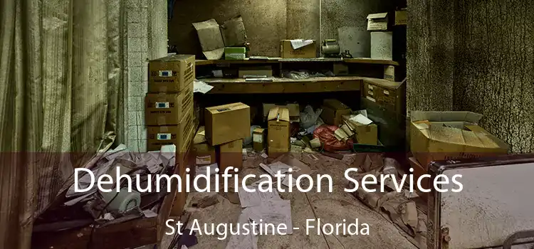 Dehumidification Services St Augustine - Florida