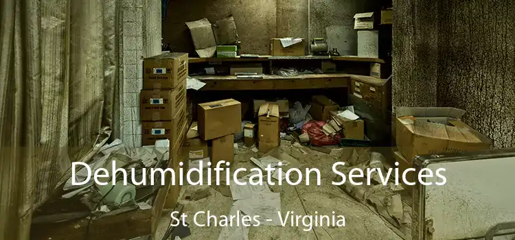 Dehumidification Services St Charles - Virginia