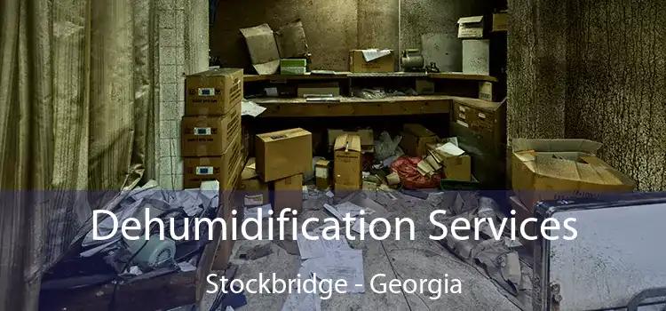 Dehumidification Services Stockbridge - Georgia