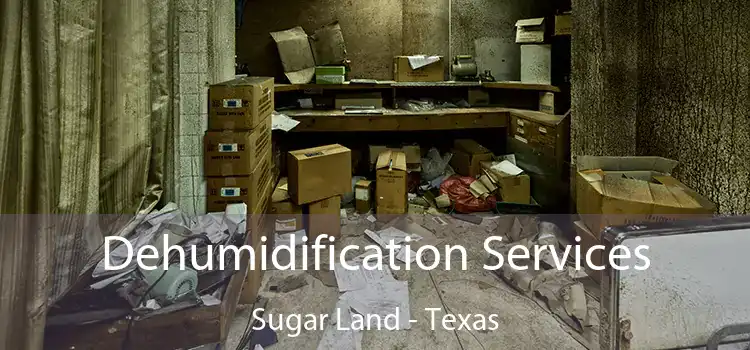 Dehumidification Services Sugar Land - Texas