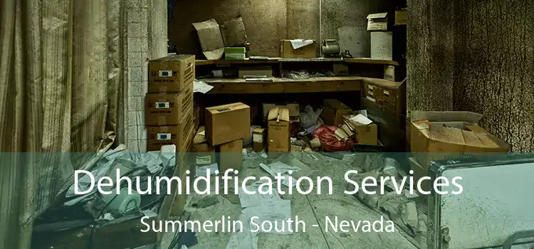 Dehumidification Services Summerlin South - Nevada