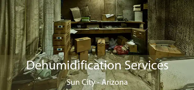 Dehumidification Services Sun City - Arizona