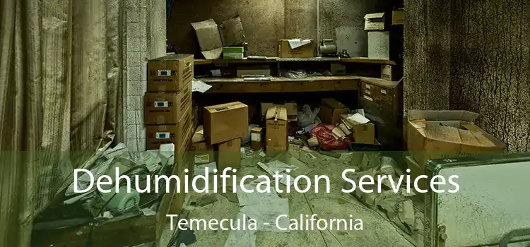 Dehumidification Services Temecula - California