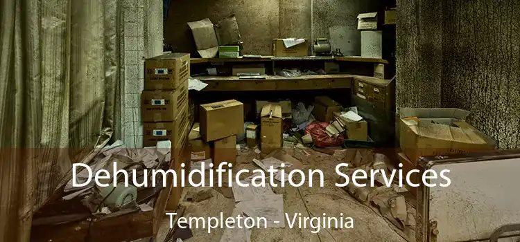 Dehumidification Services Templeton - Virginia