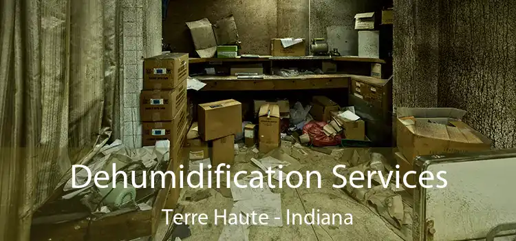 Dehumidification Services Terre Haute - Indiana