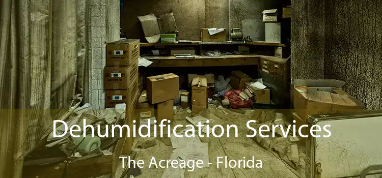 Dehumidification Services The Acreage - Florida