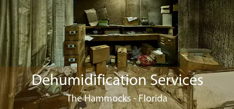 Dehumidification Services The Hammocks - Florida