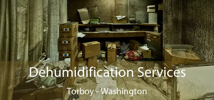 Dehumidification Services Torboy - Washington