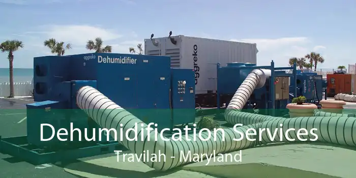 Dehumidification Services Travilah - Maryland