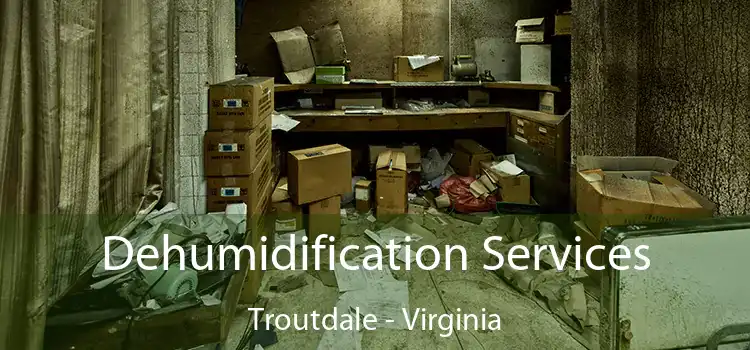 Dehumidification Services Troutdale - Virginia