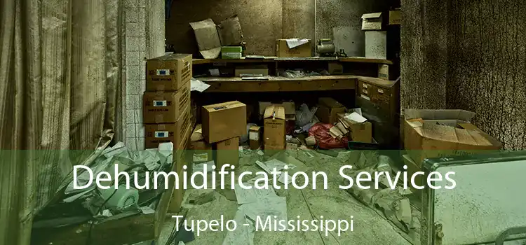 Dehumidification Services Tupelo - Mississippi