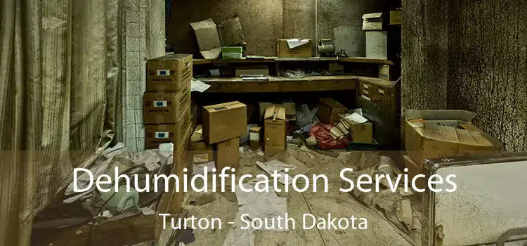 Dehumidification Services Turton - South Dakota