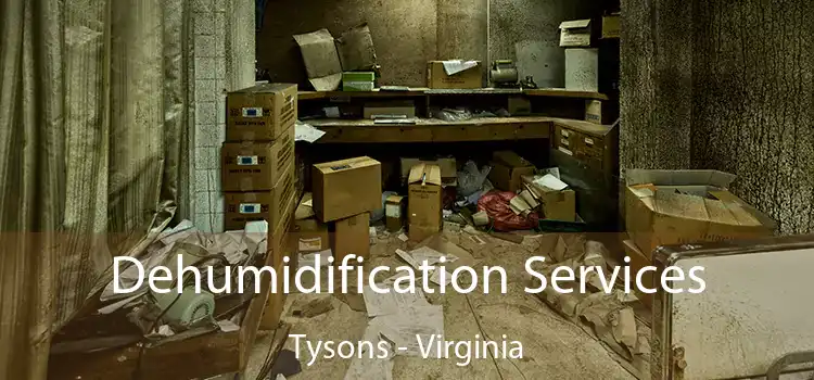 Dehumidification Services Tysons - Virginia