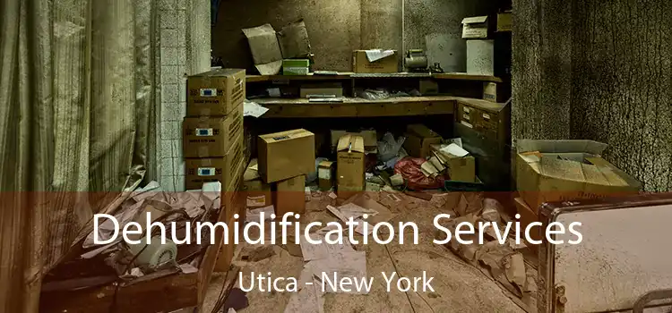 Dehumidification Services Utica - New York