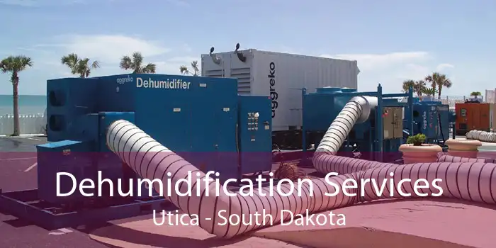 Dehumidification Services Utica - South Dakota