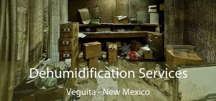 Dehumidification Services Veguita - New Mexico