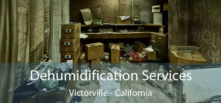 Dehumidification Services Victorville - California