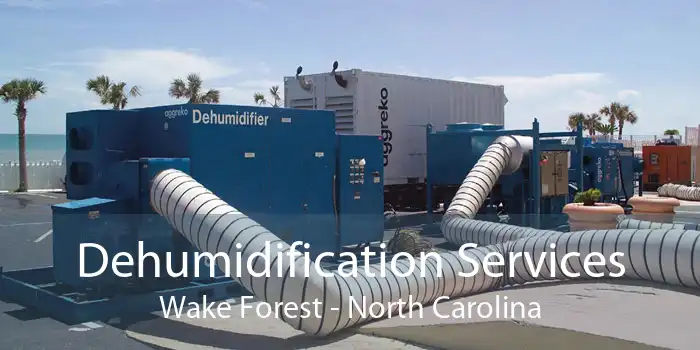 Dehumidification Services Wake Forest - North Carolina