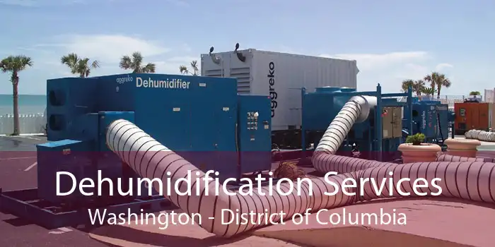 Dehumidification Services Washington - District of Columbia