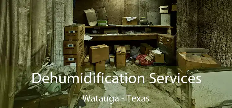 Dehumidification Services Watauga - Texas