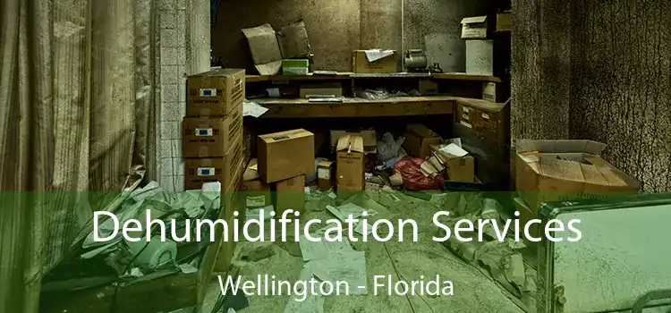 Dehumidification Services Wellington - Florida