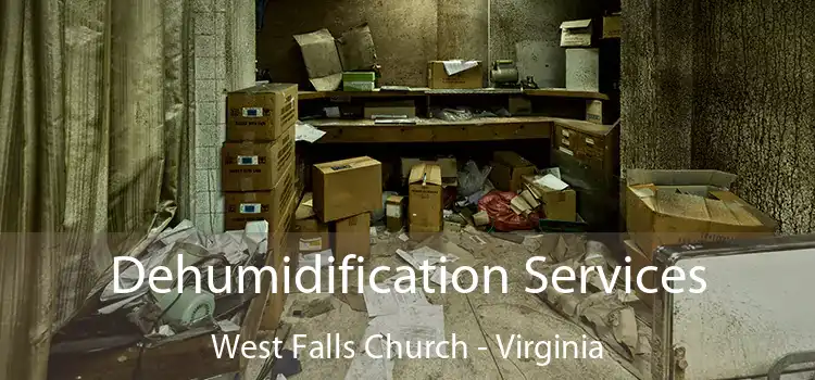 Dehumidification Services West Falls Church - Virginia