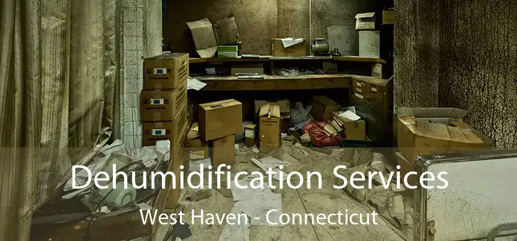 Dehumidification Services West Haven - Connecticut