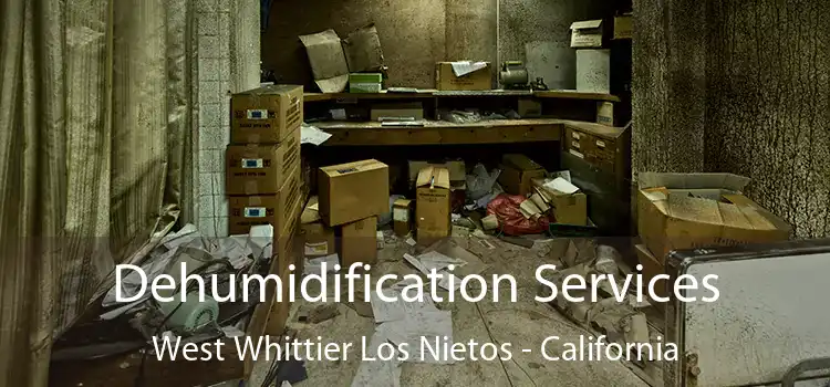 Dehumidification Services West Whittier Los Nietos - California