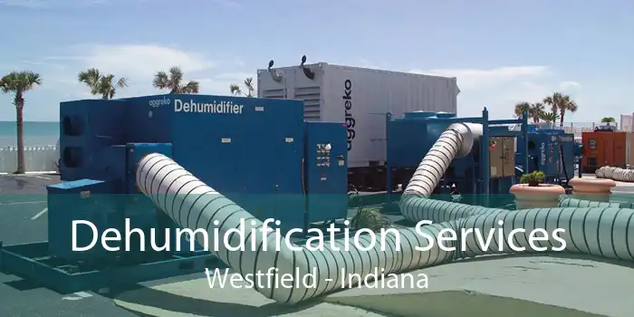 Dehumidification Services Westfield - Indiana