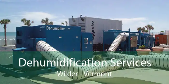 Dehumidification Services Wilder - Vermont