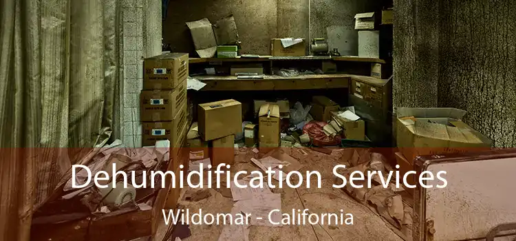 Dehumidification Services Wildomar - California