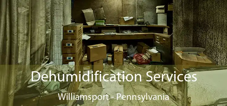 Dehumidification Services Williamsport - Pennsylvania