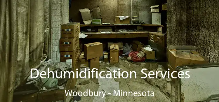 Dehumidification Services Woodbury - Minnesota