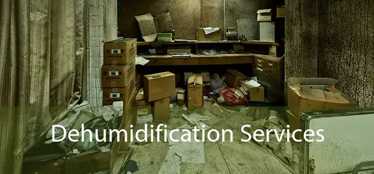 Dehumidification Services 