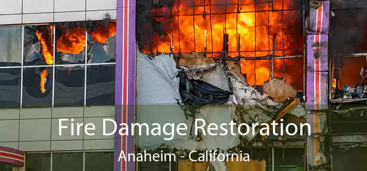 Fire Damage Restoration Anaheim - California