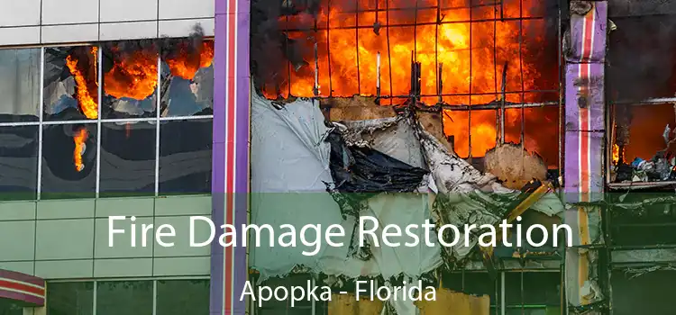 Fire Damage Restoration Apopka - Florida