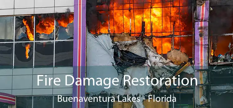 Fire Damage Restoration Buenaventura Lakes - Florida