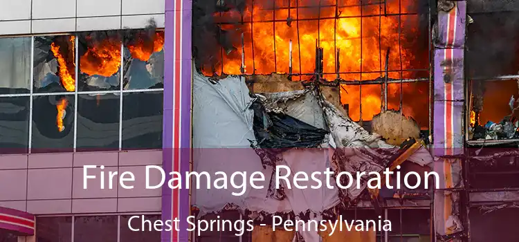 Fire Damage Restoration Chest Springs - Pennsylvania