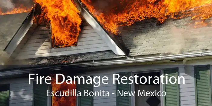 Fire Damage Restoration Escudilla Bonita - New Mexico
