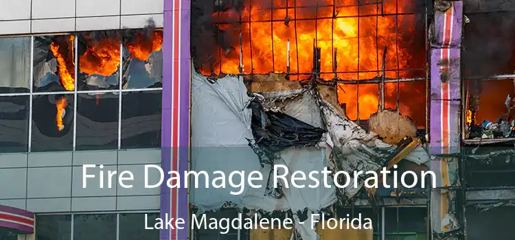 Fire Damage Restoration Lake Magdalene - Florida