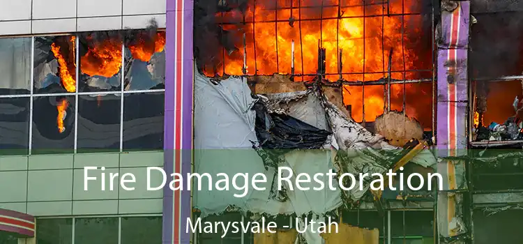 Fire Damage Restoration Marysvale - Utah