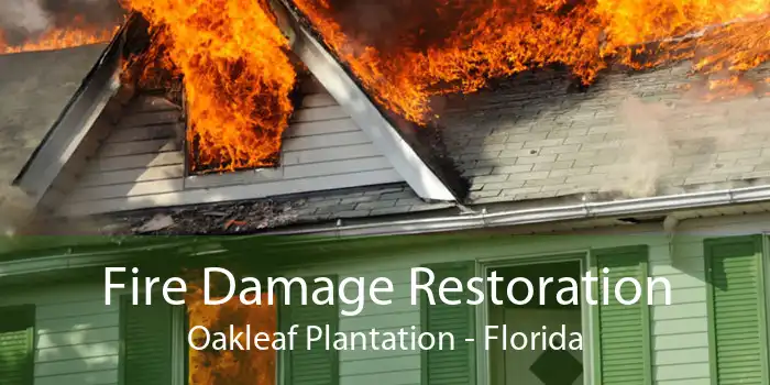 Fire Damage Restoration Oakleaf Plantation - Florida