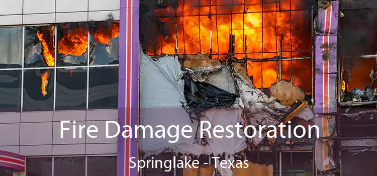 Fire Damage Restoration Springlake - Texas