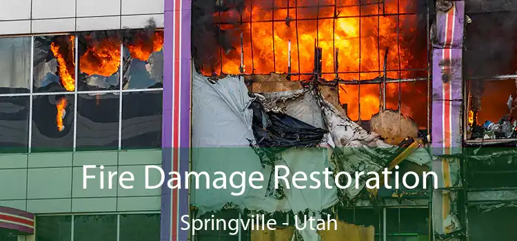 Fire Damage Restoration Springville - Utah