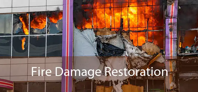 Fire Damage Restoration 