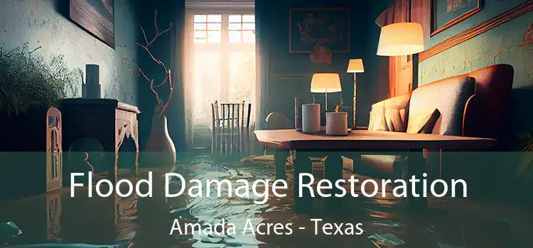 Flood Damage Restoration Amada Acres - Texas