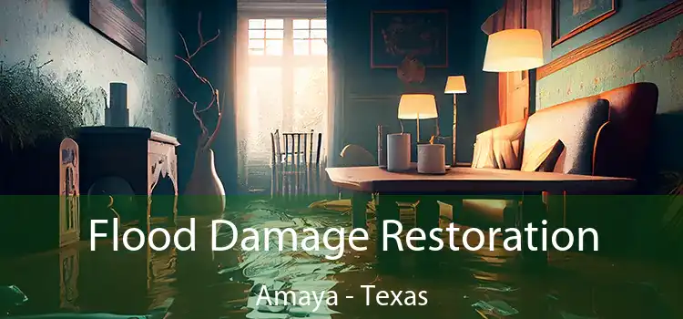 Flood Damage Restoration Amaya - Texas